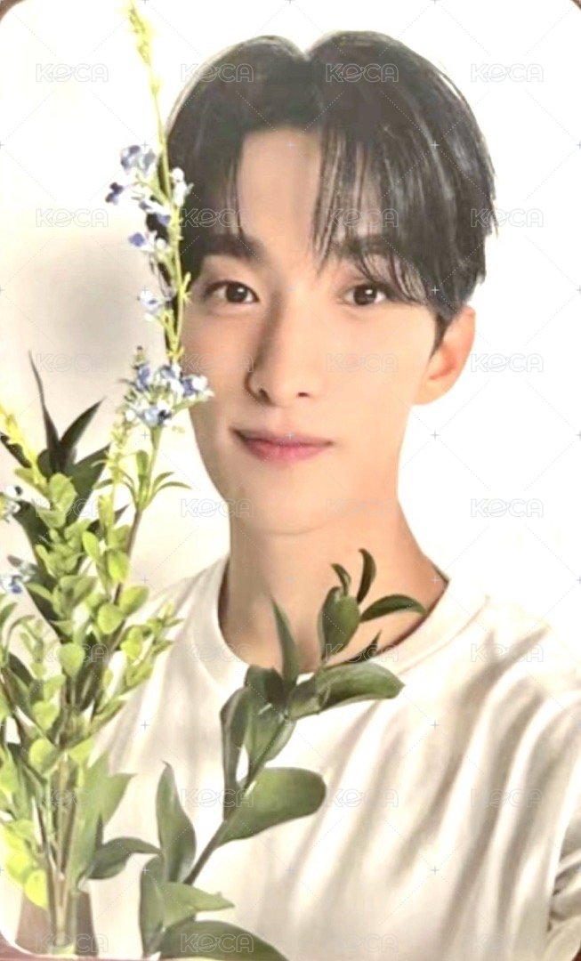 精選專 專輯卡 精選輯｜CARAT ver. 正面