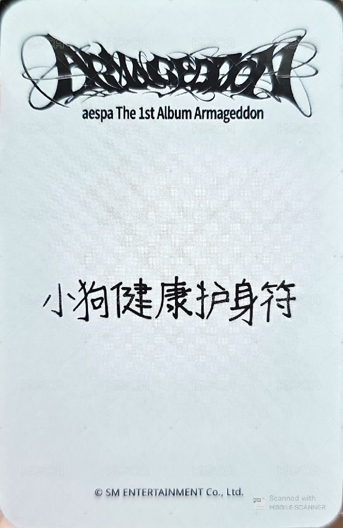 正規一 sr 特典卡 星河預售C冬 背面