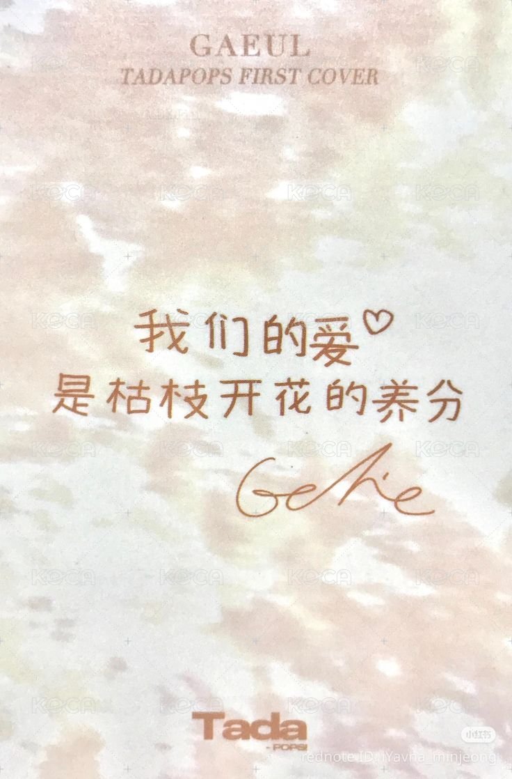TadaPOPs 雜誌卡  背面