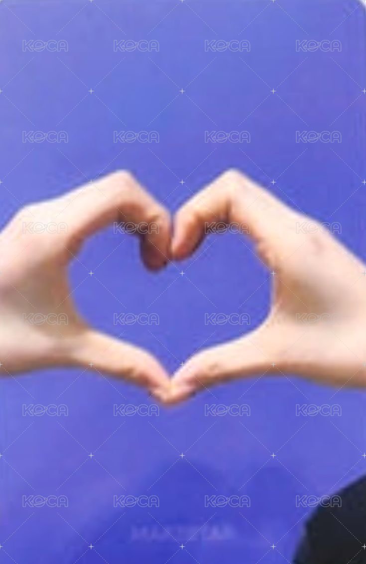 FORWARD ms 線上 10.0 簽售卡 便利貼 背面