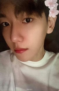 bolo2 專輯卡 chemistry A ver