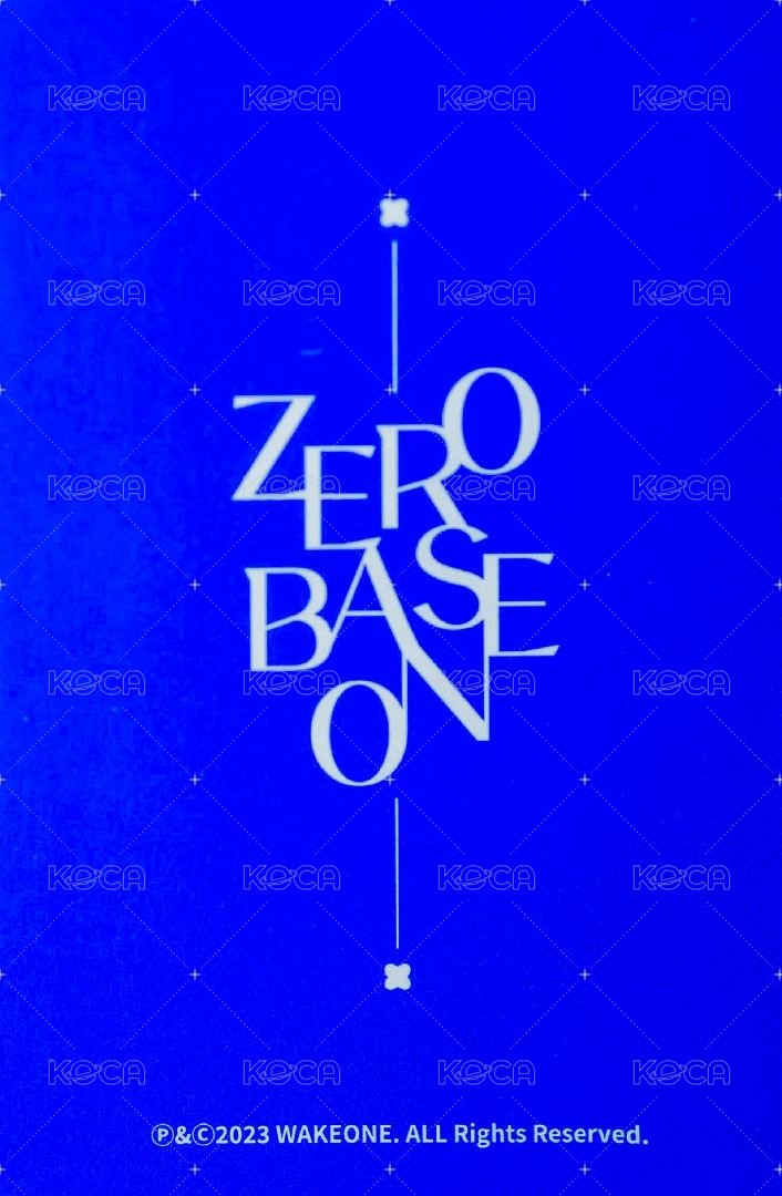 大邱快閃 周邊卡 ZB1 大邱快閃卡套卡 背面