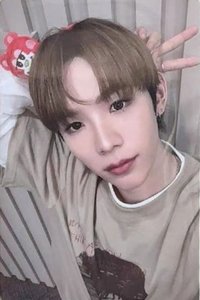 愛寶樂園 周邊卡 髮箍卡