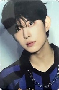 B2P展覽 A4 照片組 周邊卡 