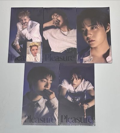 TREASURE 專輯未拆 特典 PLEASURE 🦔🐰🦋🐮