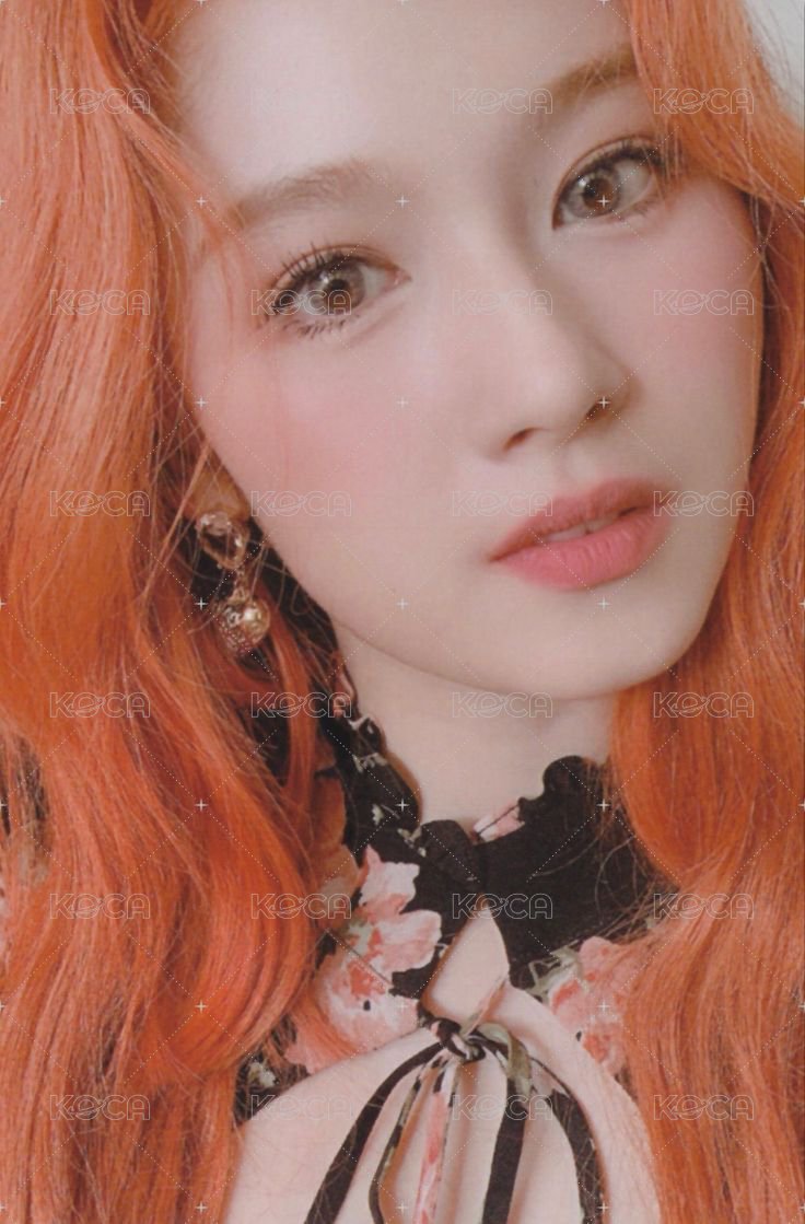 MORE & MORE 專輯卡  正面