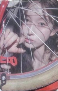 正規一快閃 el 周邊卡 帽子卡