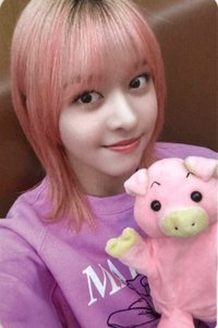 仲夏夜 el 4.0 幸運卡 玩偶