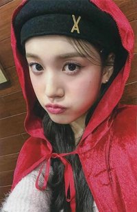 泰迪熊 ms 1.0 特典卡 小紅帽ver.