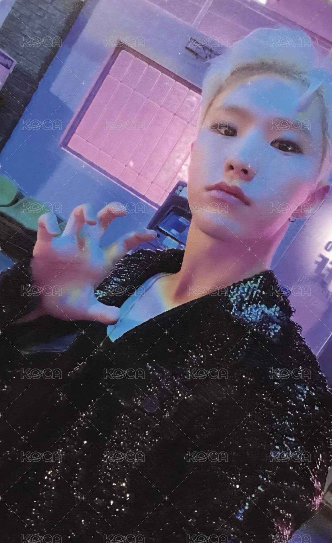 正四後續 wvs wvs ver. 特典卡  正面