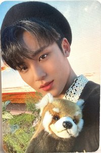 22’D社 D社 周邊卡 