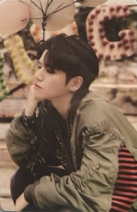 WHY.. wvs USA 特典卡 官拍