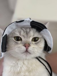 JJJisooooo