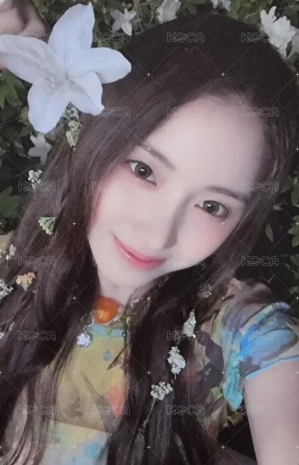 仲夏夜 wm 周邊卡 快閃貼紙卡友 正面