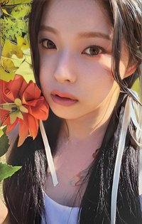 expérgo el 預售 特典卡 