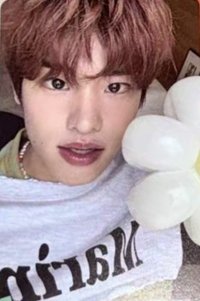 D社寫真 雜誌卡 