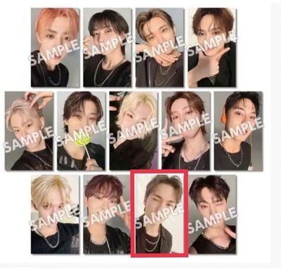 IN THE SOOP 明信片