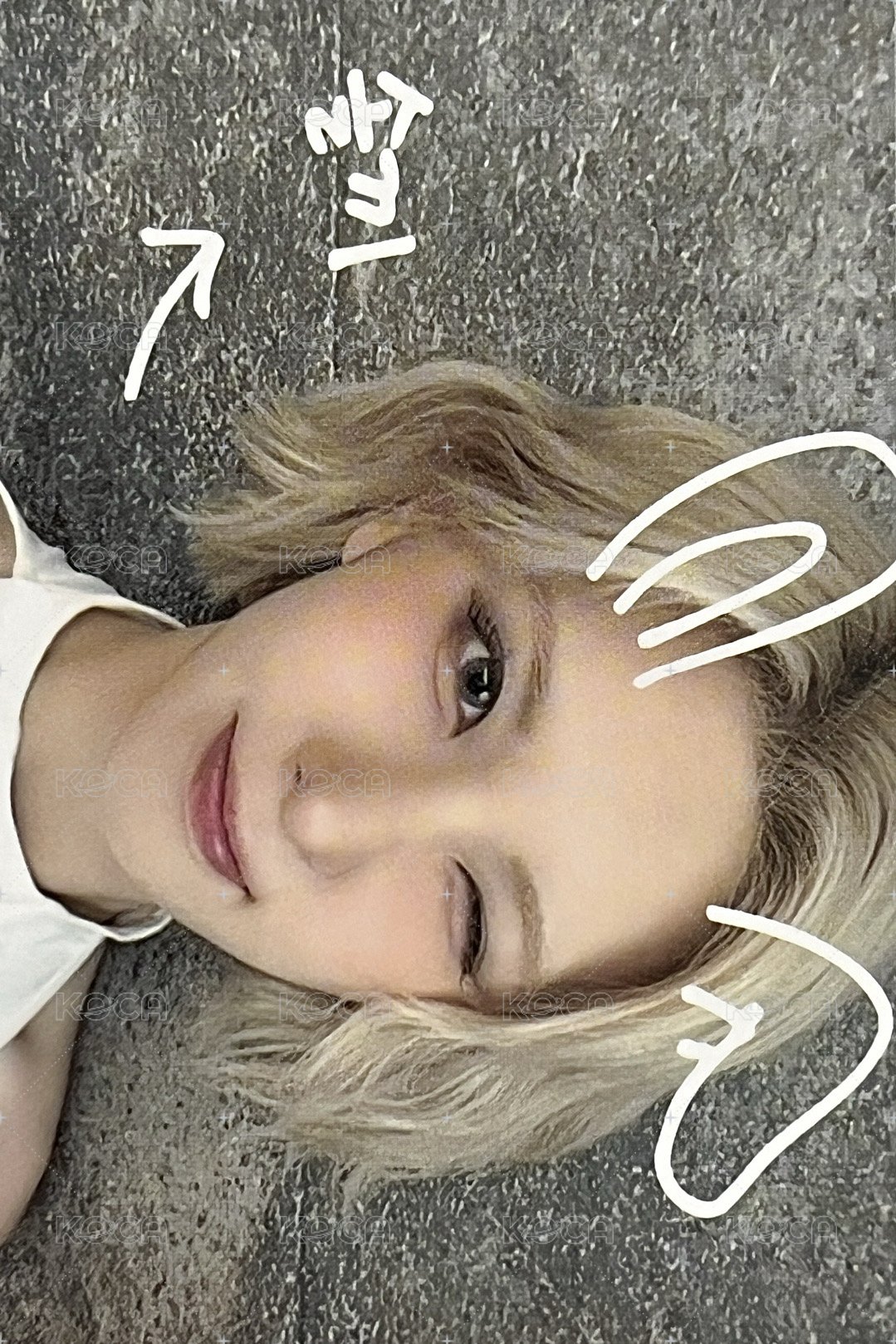 FORWARD ms 線上 5.0 簽售卡 寵物鏡頭裴 正面