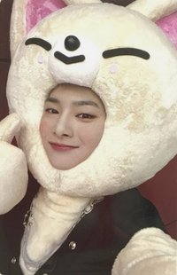 MAXIDENT jyp 特典卡 