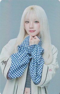 2025日巡 隨機卡 