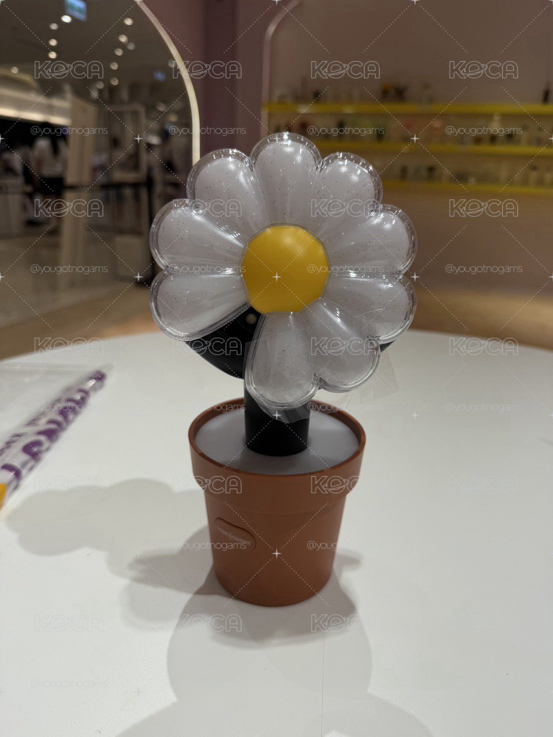 GD小雛菊🌼手燈+盆栽