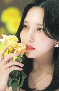 D’FESTA 迷你版 D社 周邊卡 