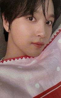 2024 聖誕 隨機卡 