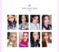 數單一 官方MD1.0 卡冊