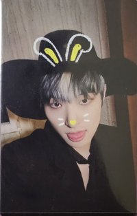 WILL   日本FC 特典卡 