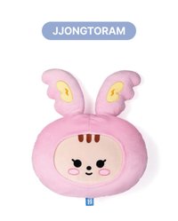 MINITEEN 抱枕 ｜JJONGTORAM