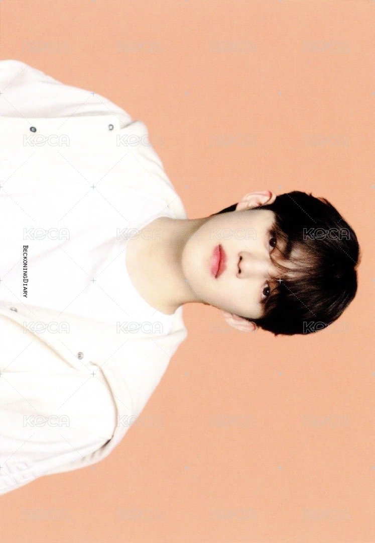 FOLLOW AGAIN 隨機卡 ｜日巡卡包 正面