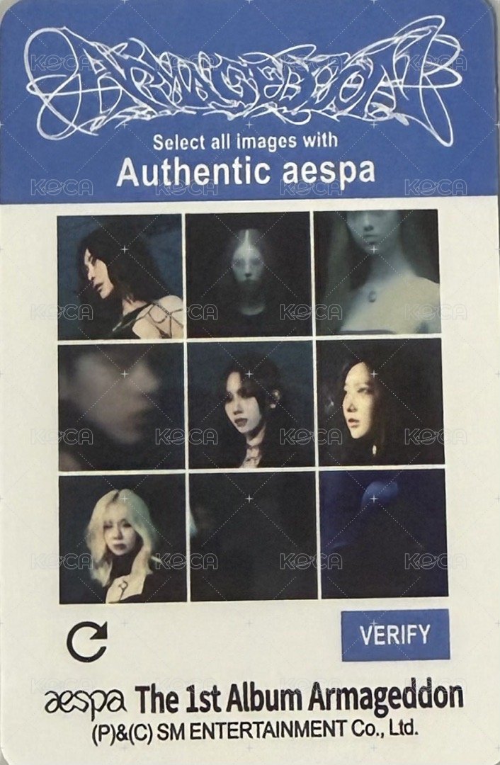 正規一 專輯卡 ZINE版冬 貓咪冬 背面