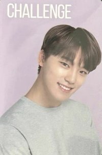 the SAEM 代言卡 唇膏卡