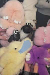 正規一 專輯卡 電子專固配 Valentine ver.