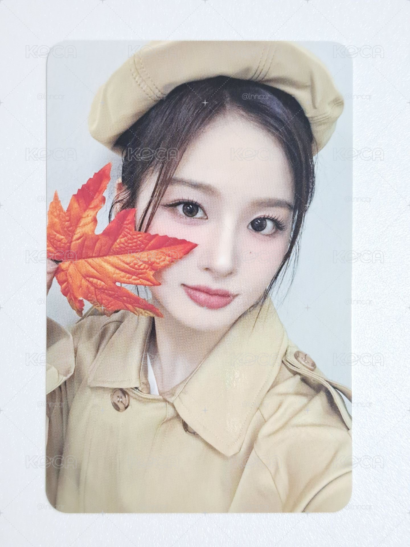 MS 楓葉薛