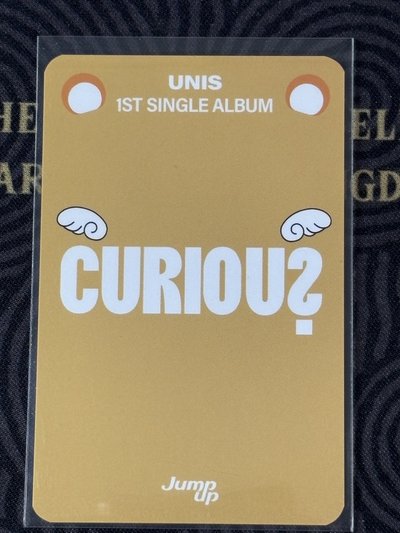 CURIOUS JP3.0 特典 小可Kotoko🦌