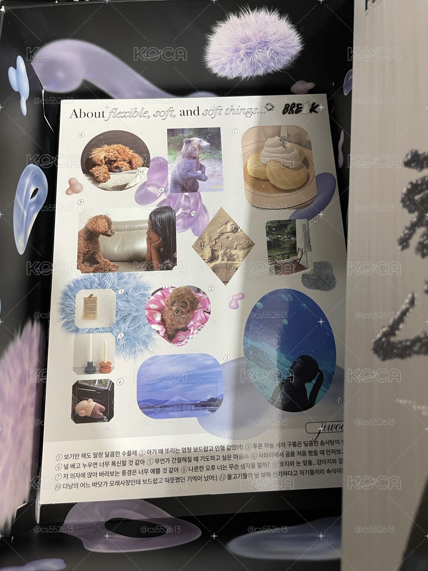 限量專（不含水母）
