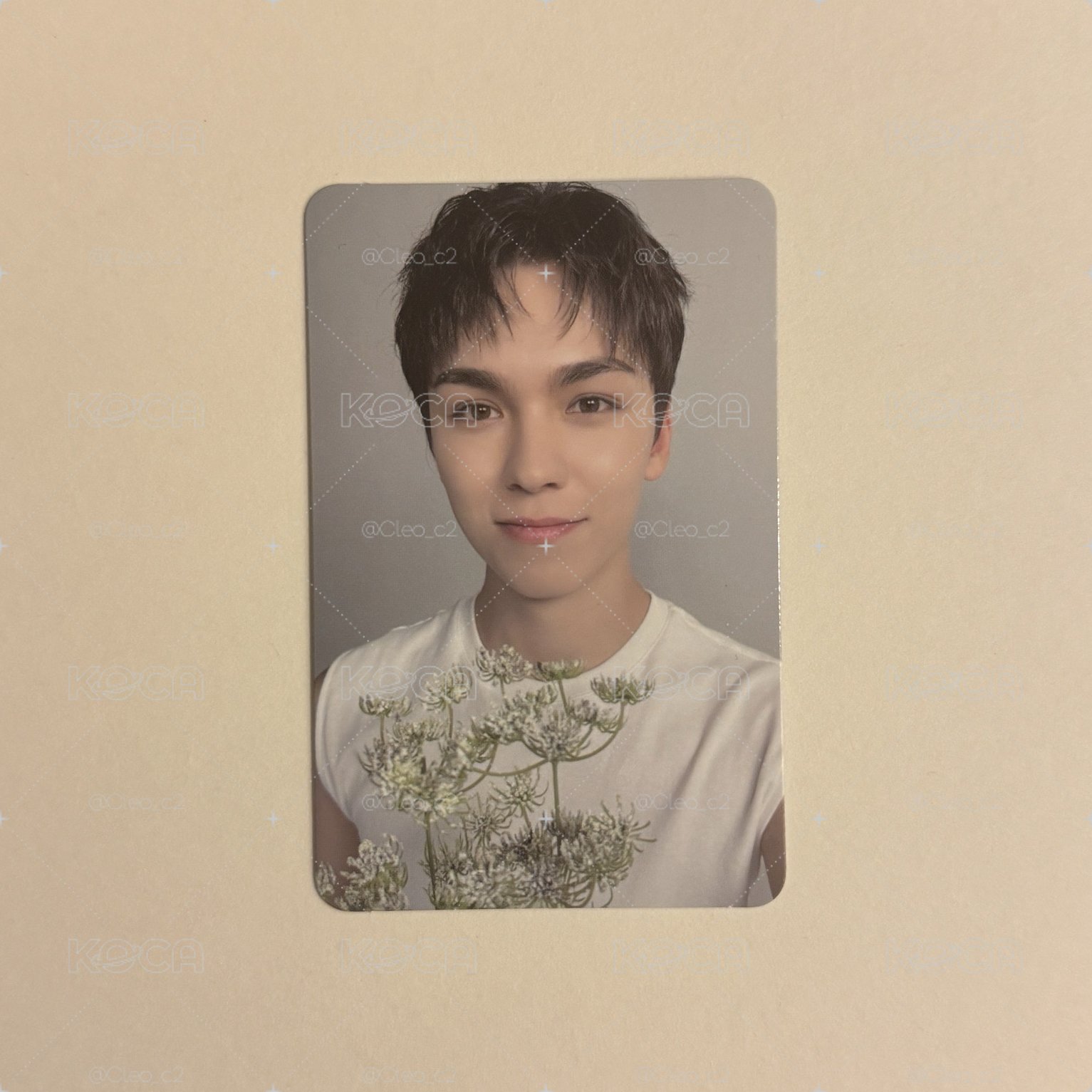 17righthere 克拉盤 vernon