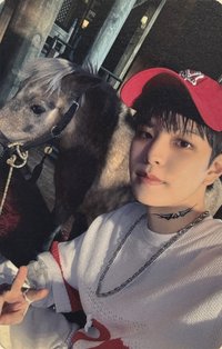 合(HOP) bdm 特典卡 