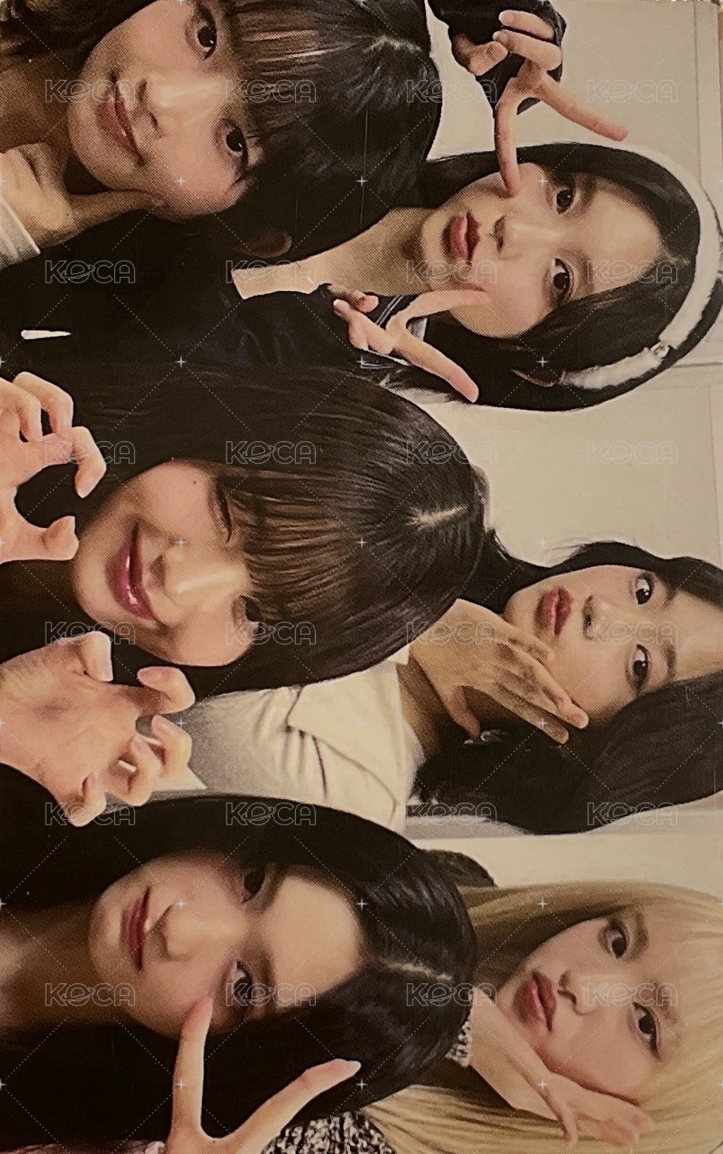 三期會員 會員禮卡 日咖續會團卡 正面