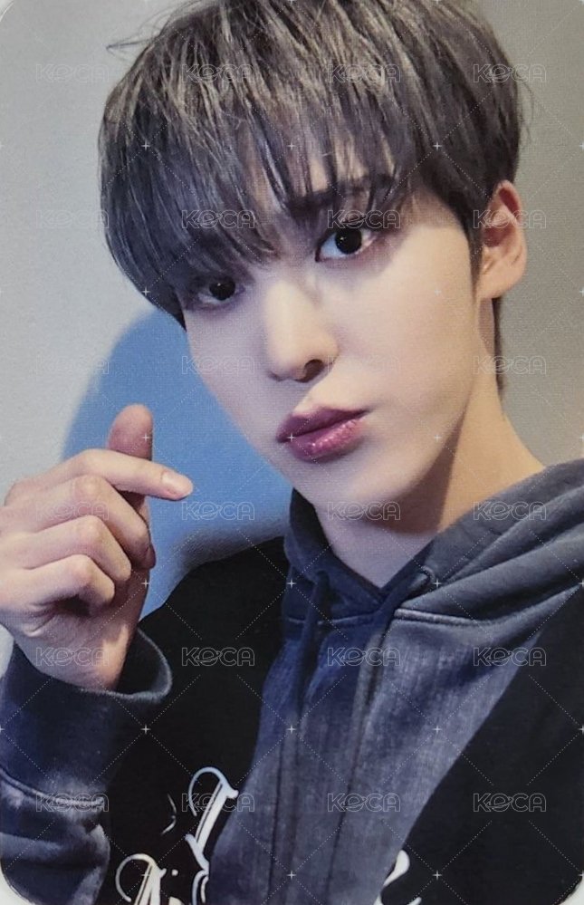 TOWARDS THE LIGHT : WILL TO POWER fromm 線上 直播卡  正面