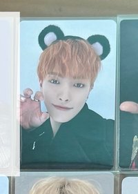 黑色熊耳（是熊吧）