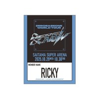 世巡H&N 貼紙 一番賞 F賞