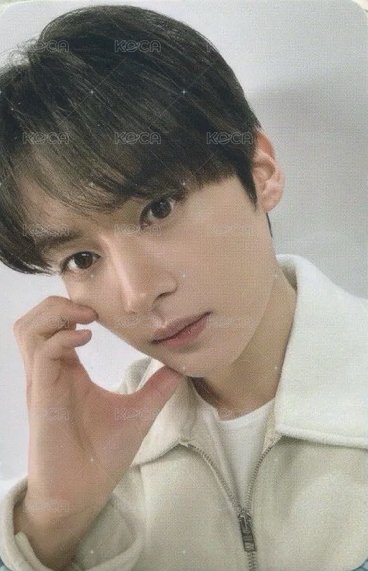 4th FM 釜山快閃店 周邊卡 娃用行李箱 正面