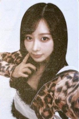 三巡 隨機卡 日巡隨機卡吉 正面