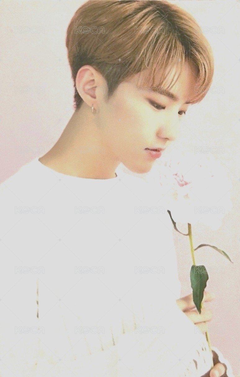 23‘CAFE IN SEOUL 隨機卡  正面