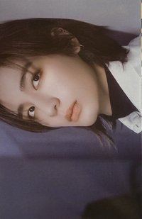 HOW? wvs 特典電腦卡冊 周邊卡 