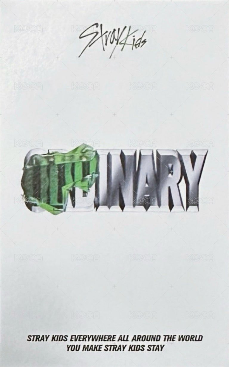 ODDINARY 阿拉丁 特典卡  背面