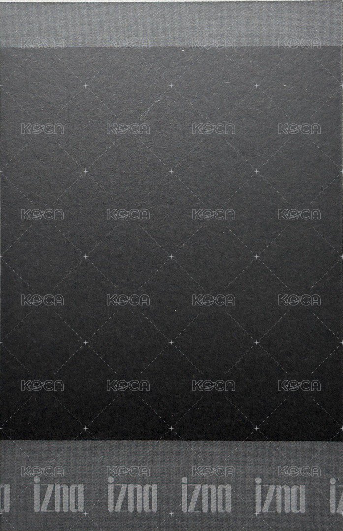 迷一 專輯卡 iz ver. 拍立得 背面