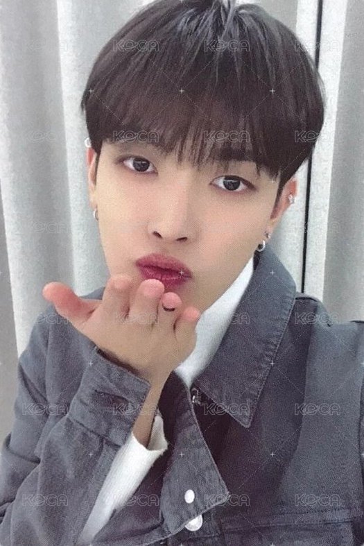 WILL MINIRECORD 2.0 簽售卡  正面